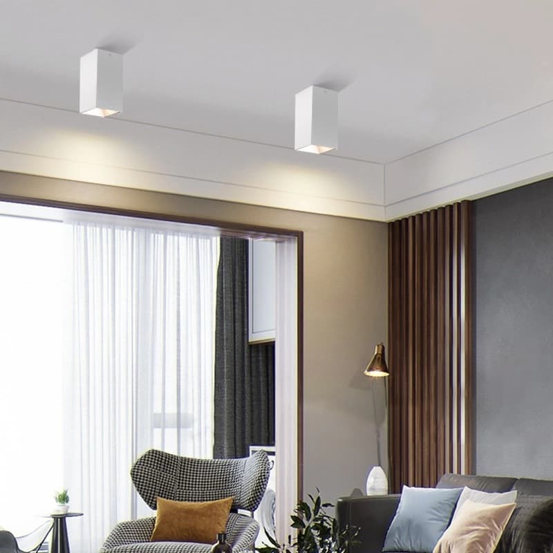 Neptune Series Ceiling Mounted Downlights - 2
