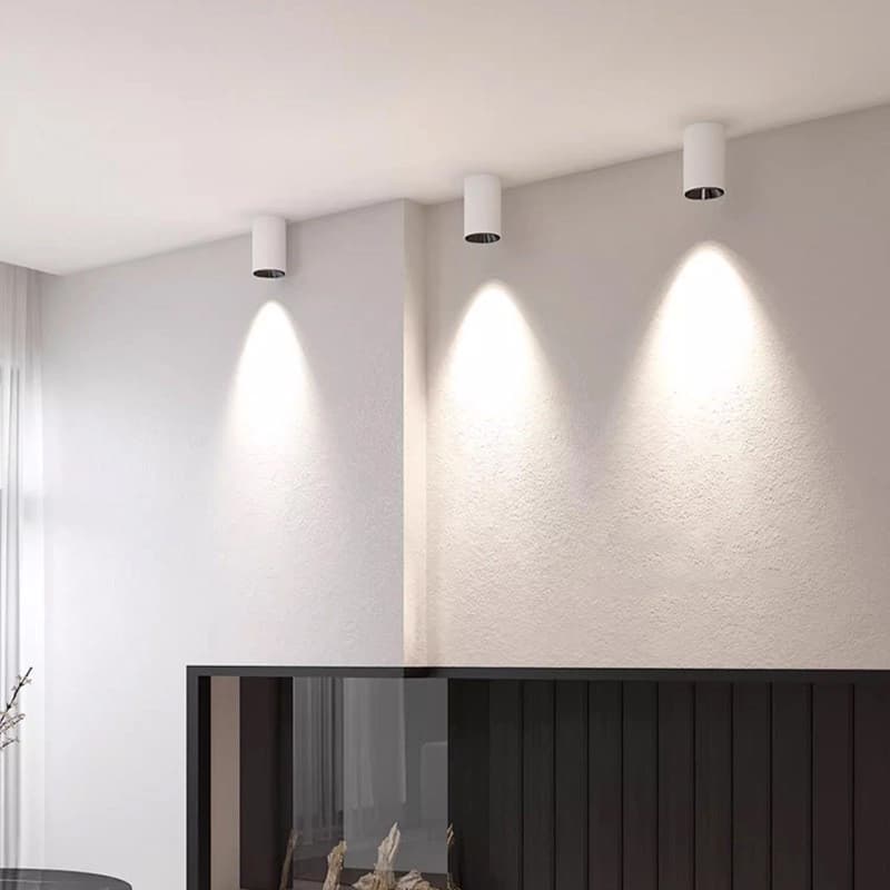 Neptune Series Ceiling Mounted Downlights - 2