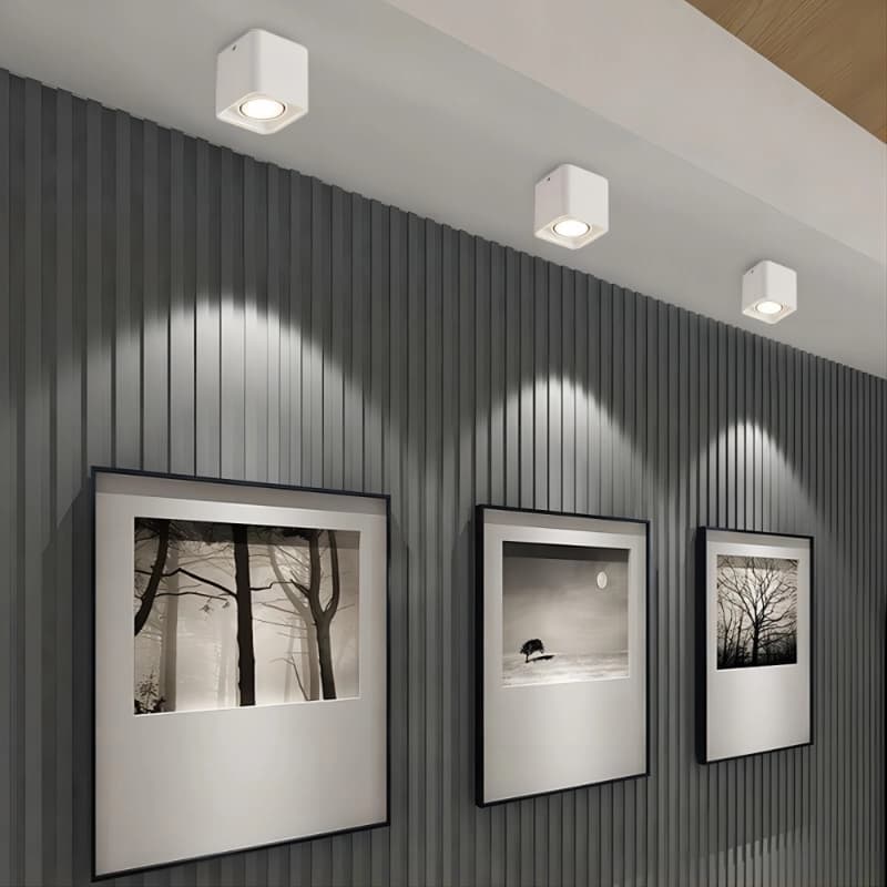 Square Ceiling Mounted Spot Light - 4