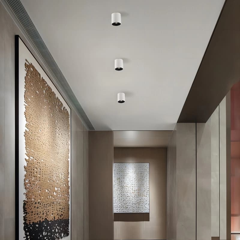 Round Ceiling Mounted Spot Lights - 2